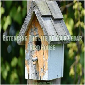 Extending The Life of Your Cedar Bird House