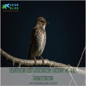 Factors Influencing Birds