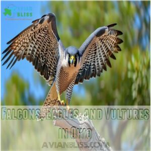 Falcons, Eagles, and Vultures in Ohio