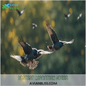 Fastest Migration Speed