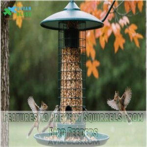 Features to Prevent Squirrels From Bird Feeders