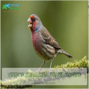 Feeding Guidelines for Pet Finches