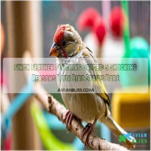 finch feather plucking causes