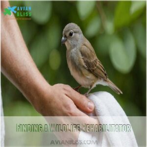 Finding a Wildlife Rehabilitator