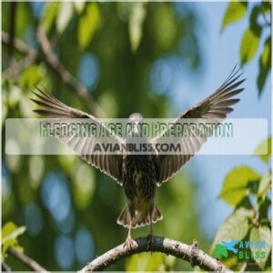 Fledging Age and Preparation