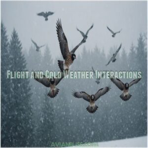 Flight and Cold Weather Interactions