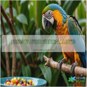 Foods to Avoid Feeding Macaws