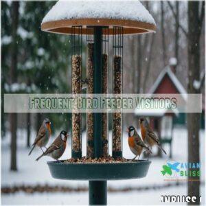 Frequent Bird Feeder Visitors