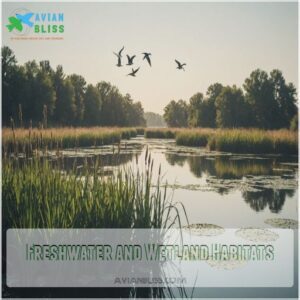 Freshwater and Wetland Habitats