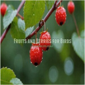 Fruits and Berries for Birds