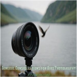 General Considerations for Bird Photography