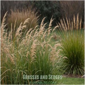 Grasses and Sedges