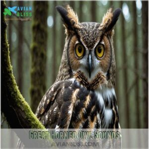 Great Horned Owl Sounds