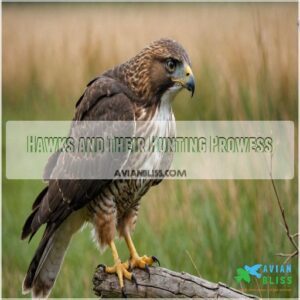 Hawks and Their Hunting Prowess