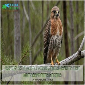 Hawks in Florida: Population Trends and Conservation Status