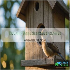 Helping Your Bird Sleep Better