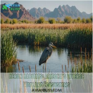 Heron Habitats: Arizona