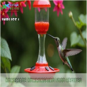 Homemade Hummingbird Food Recipes