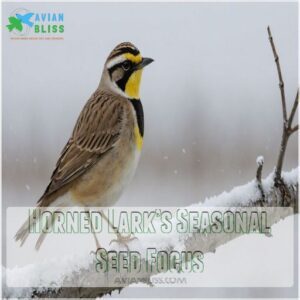 Horned Lark’s Seasonal Seed Focus