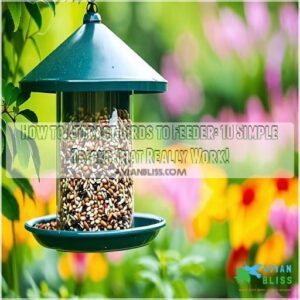 how to attract birds to feeder