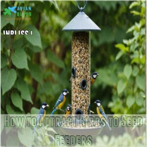 How to Attract Birds to Seed Feeders