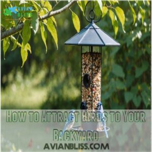 How to Attract Birds to Your Backyard