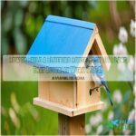 how to build a bluebird house