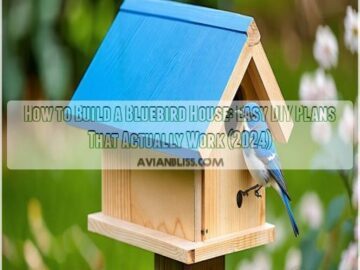 how to build a bluebird house