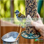 how to clean a bird feeder