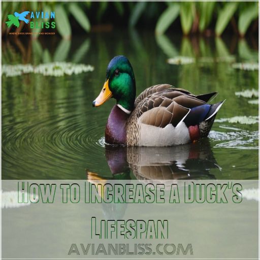 How to Increase a Duck