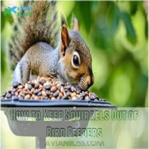 How to Keep Squirrels Out of Bird Feeders