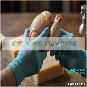 How to Prevent Human Infection