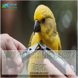 How to Trim a Canary