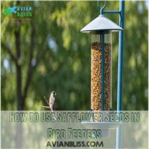 How to Use Safflower Seeds in Bird Feeders