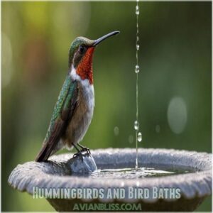 Hummingbirds and Bird Baths