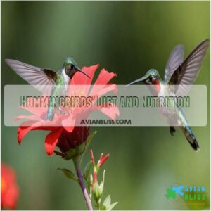 Hummingbirds