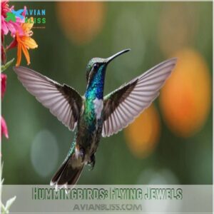 Hummingbirds: Flying Jewels