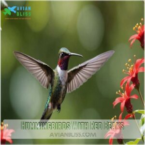 Hummingbirds With Red Beaks