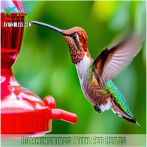 Hummingbirds With Red Heads