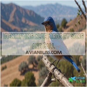 Identifying Blue Birds by Song and Call