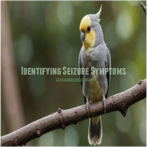 Identifying Seizure Symptoms