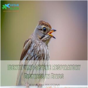 Identifying Severe Respiratory Distress in Birds