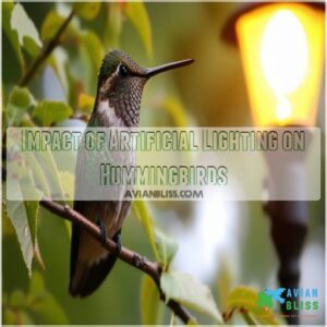 Impact of Artificial Lighting on Hummingbirds