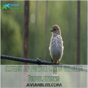 Impact of Power Lines on Bird Populations