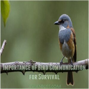 Importance of Bird Communication for Survival