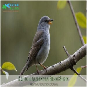 Importance of Bird Song