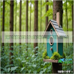 Importance of Birdhouses for Birds