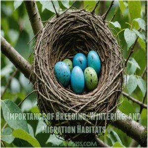 Importance of Breeding, Wintering, and Migration Habitats