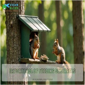 Importance of Feeding Squirrels