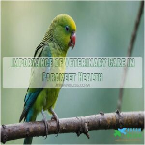 Importance of Veterinary Care in Parakeet Health